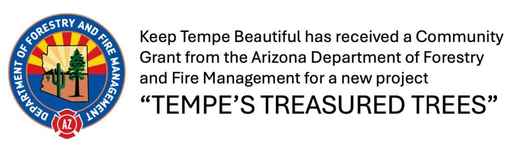 tempe-treasured-trees