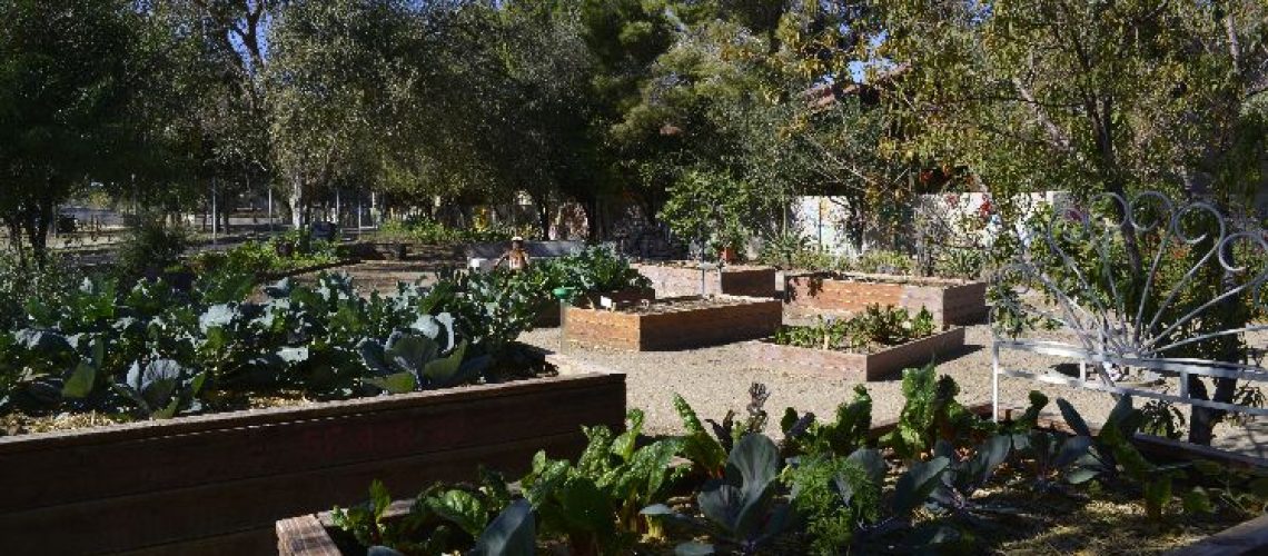 Escalante Community Garden