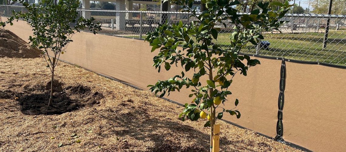 clark-park-community-garden-orchard-work